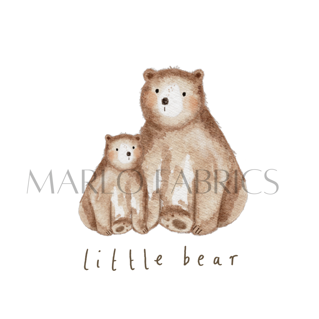 Little Bear - Heat Transfer
