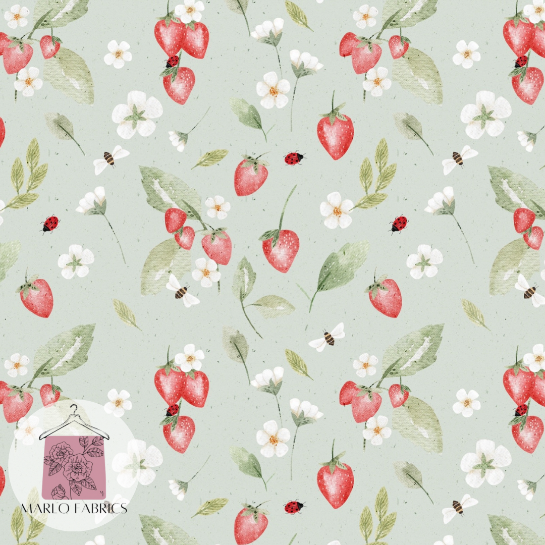Strawbs - Mint - Pre Order 519