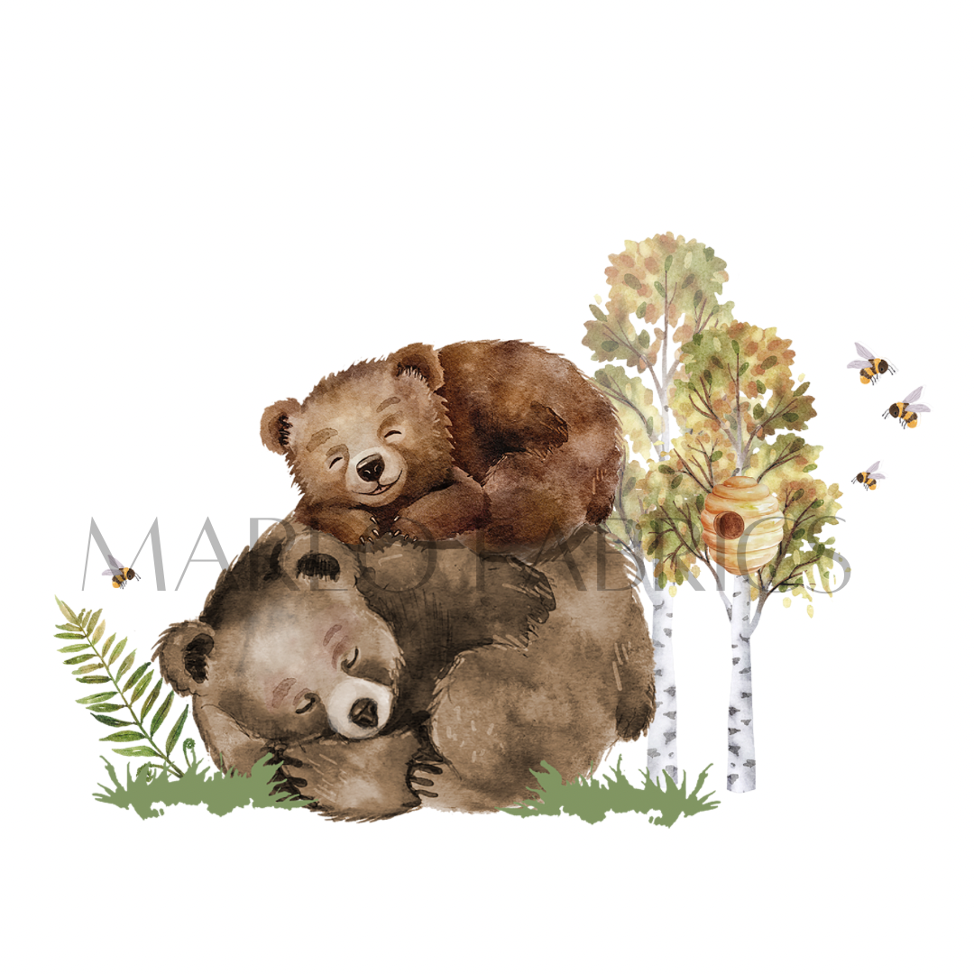 Bear Hugs - Heat Transfer