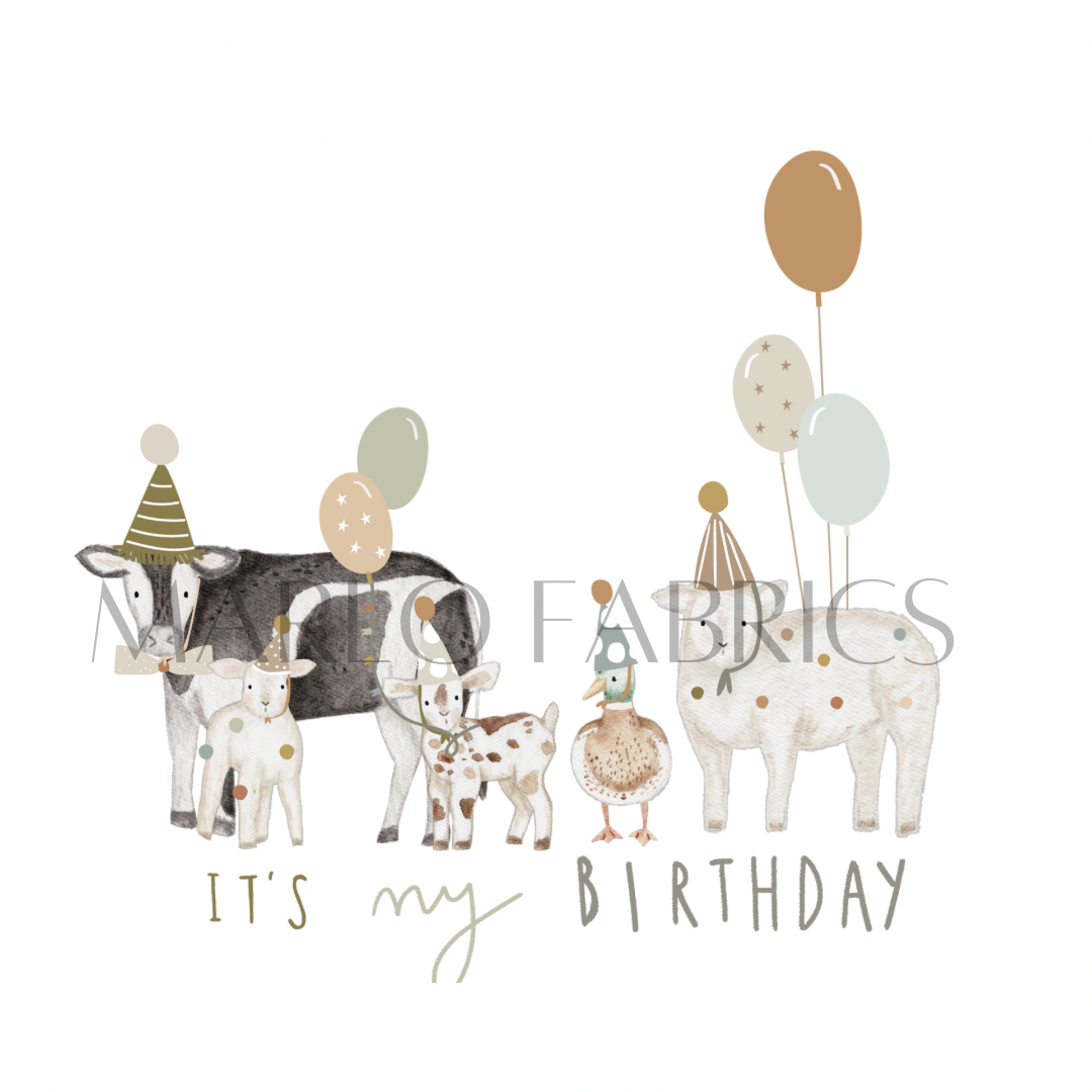 Farm Birthday - Heat Transfer