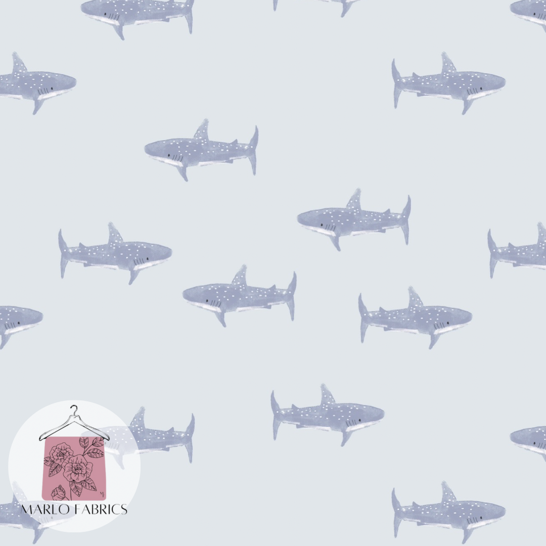 Baby Shark - Pre Order 538