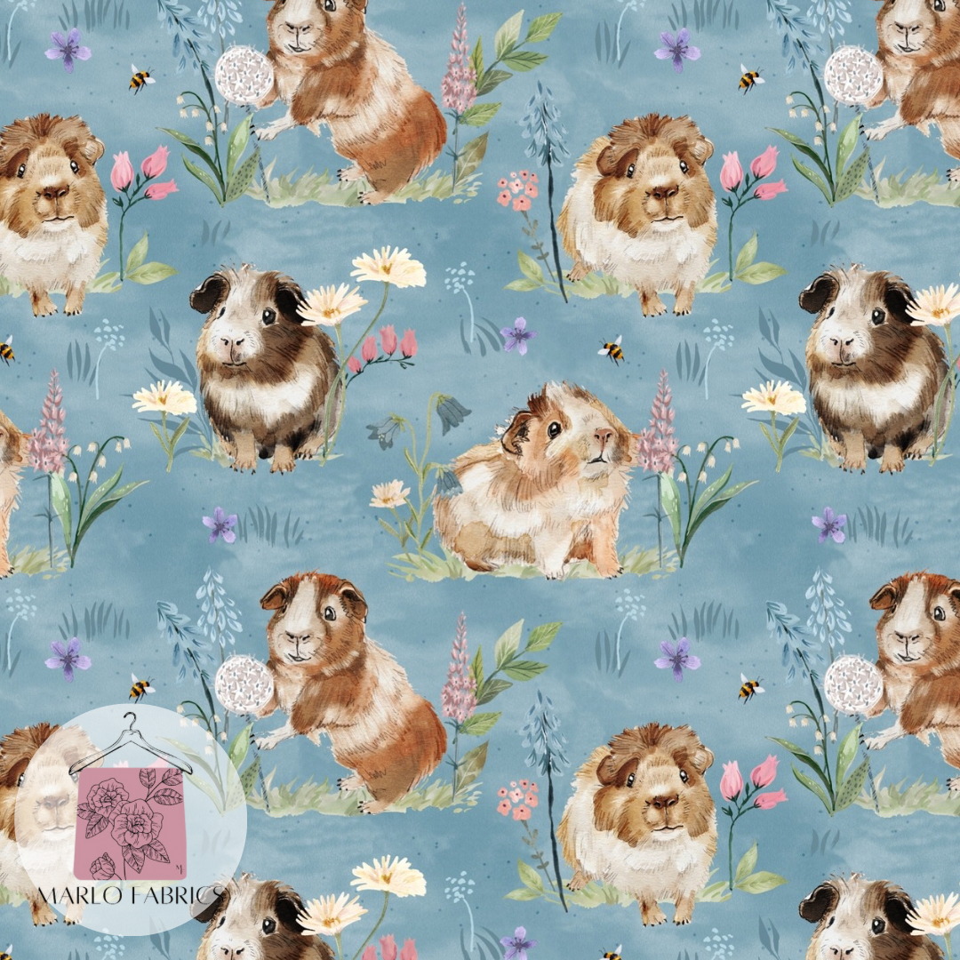 Guinea Pigs - Pre Order 555