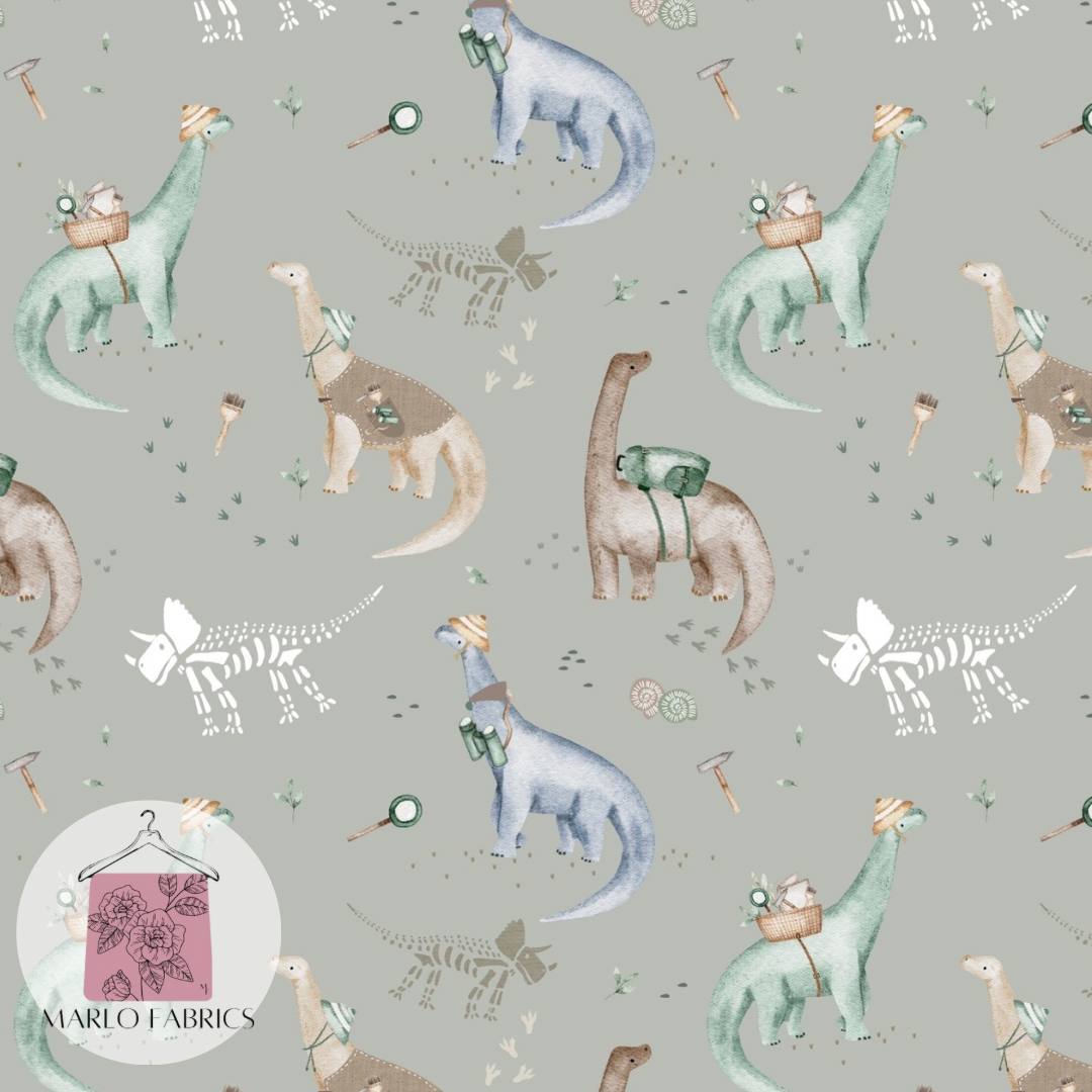 Dino Dig - Pre Order 562