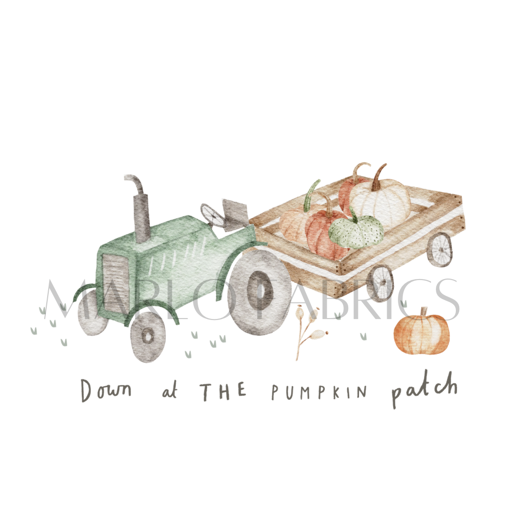 Down at the Pumpkin Patch - Heat Transfer