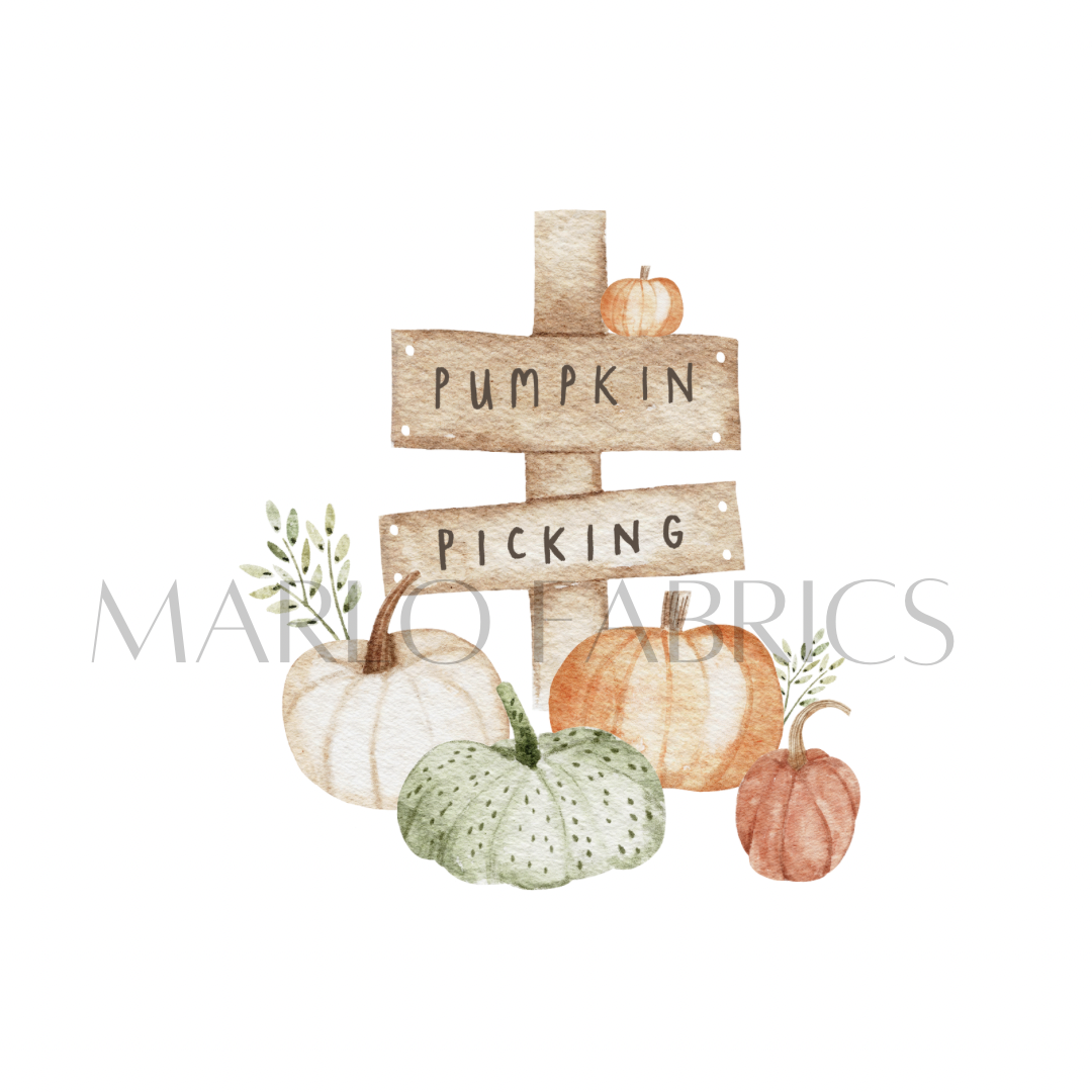 Pumpkin Picking - Heat Transfer