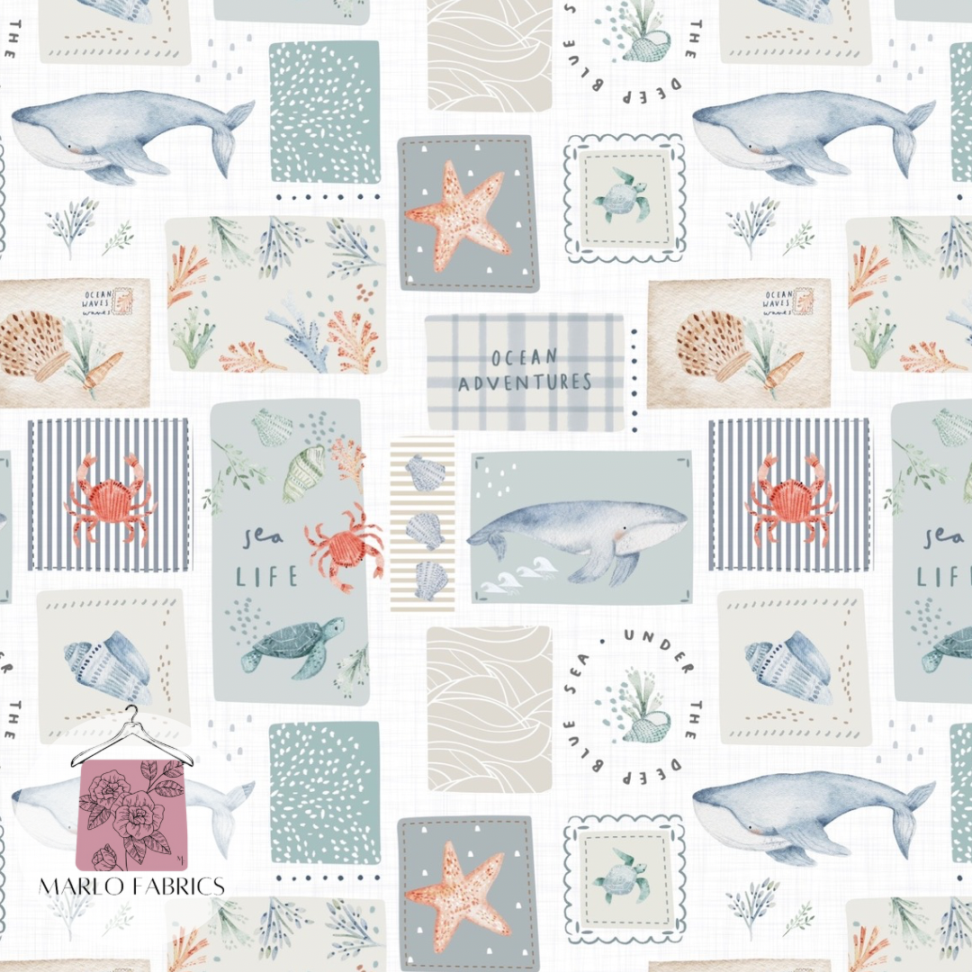 Cove - Wash - Pre Order 704