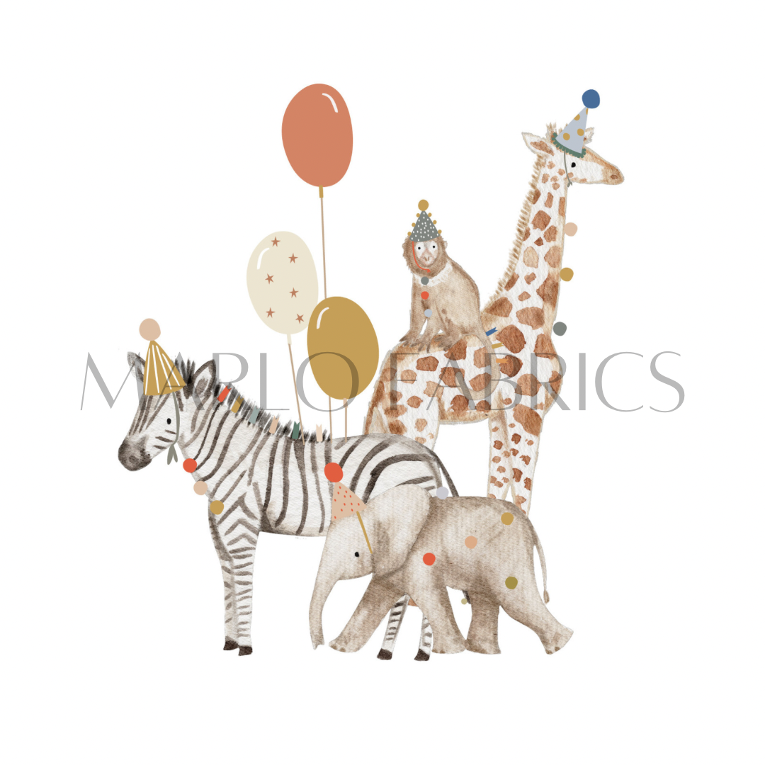 Safari - Balloon - Heat Transfer
