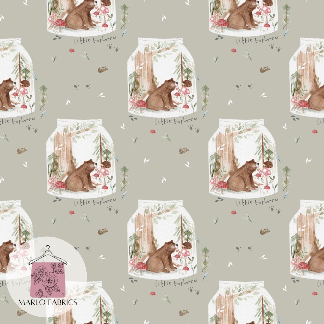 Little Explorer - Pre Order 343