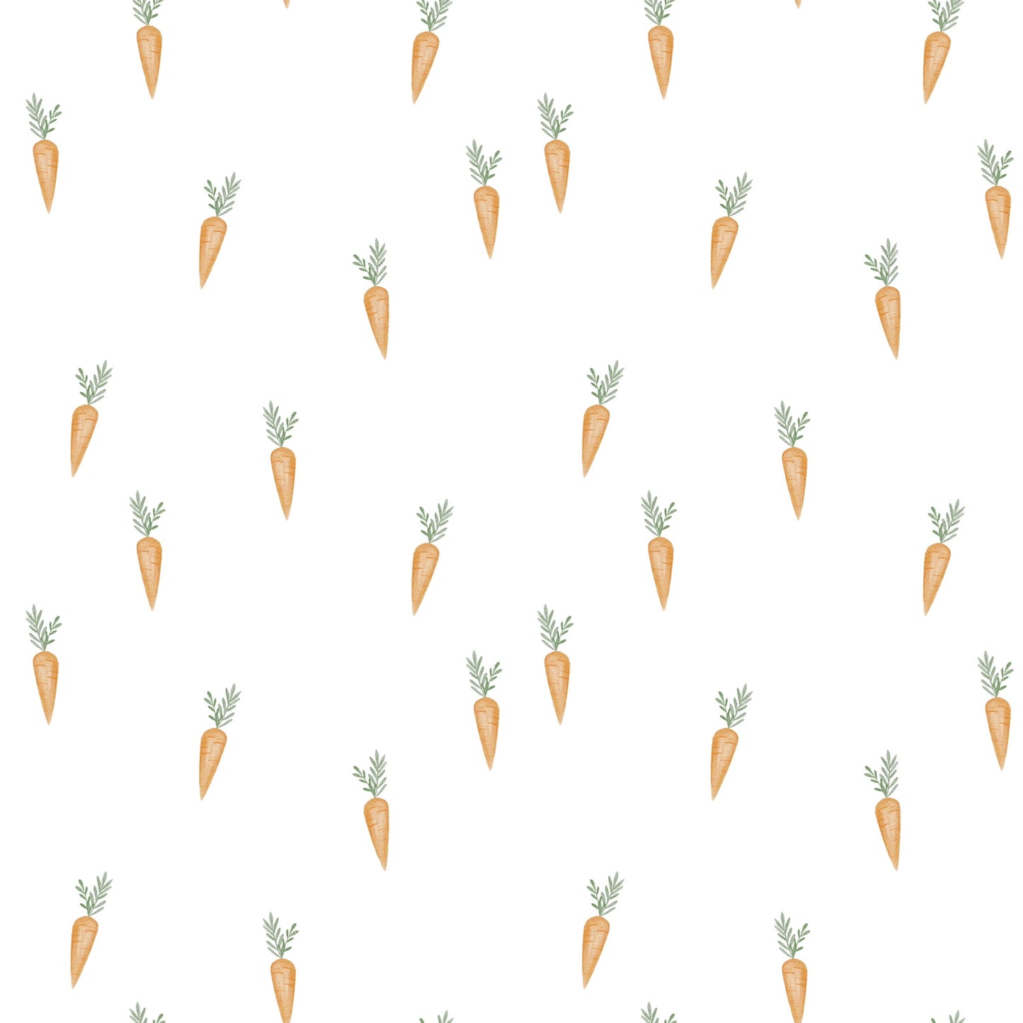 Mini Carrots - Pre Order 114