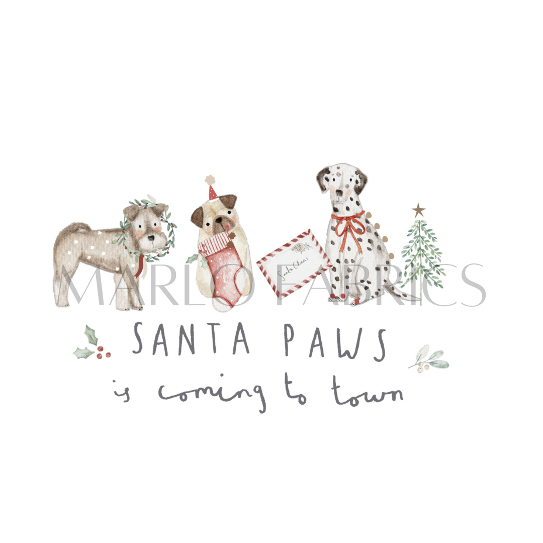 Santa Paws is coming to Town - Heat Transfer