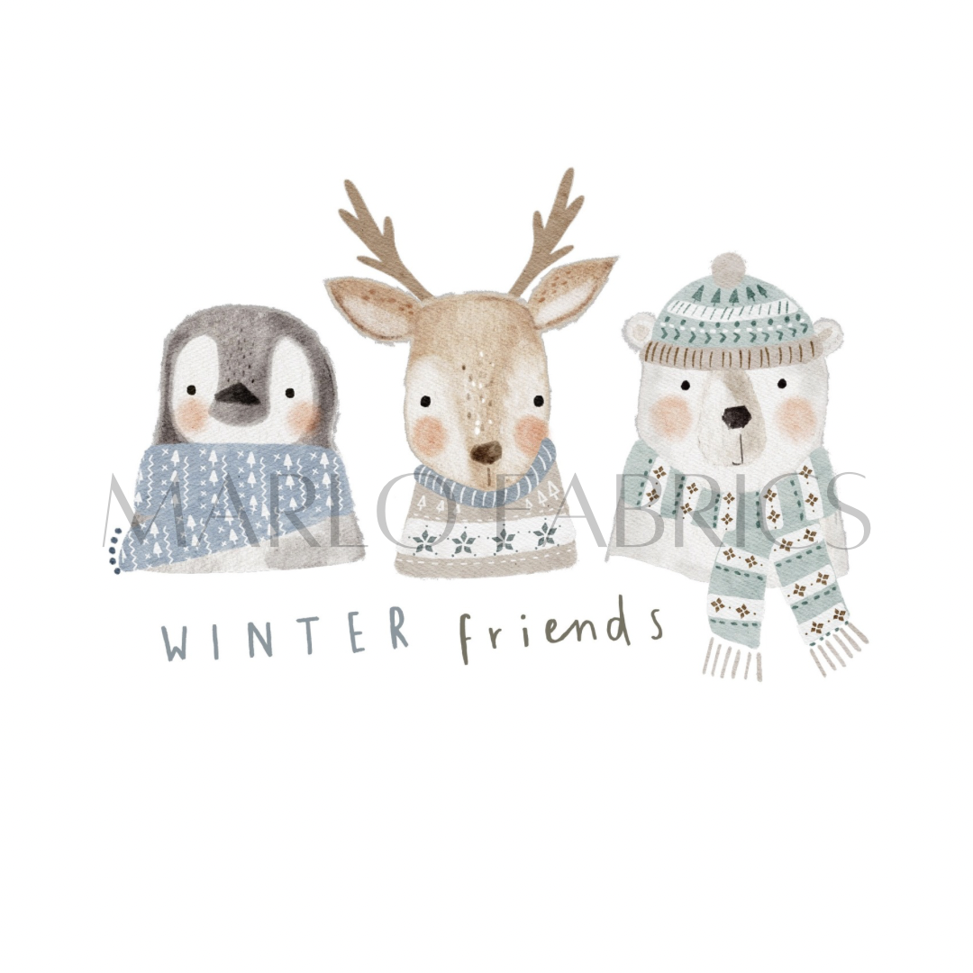 Winter Friends - Heat Transfer