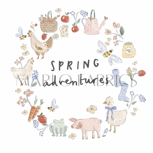 Spring Adventures - Heat Transfer