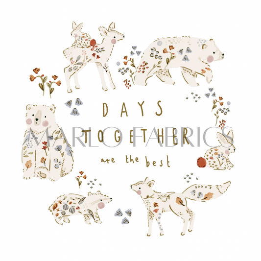 Anders - Heat Transfer