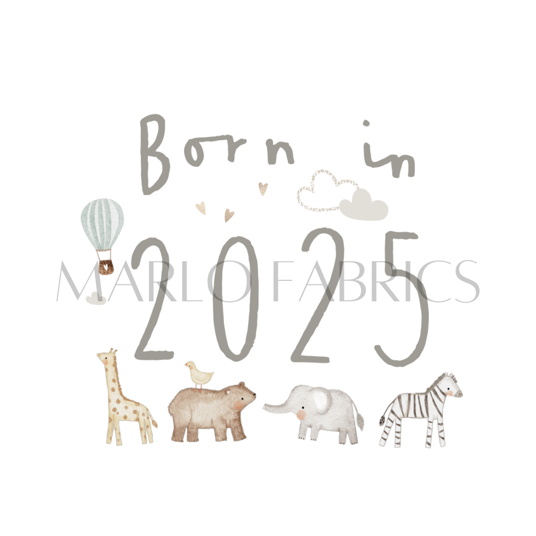 Born in 2025- Heat Transfer