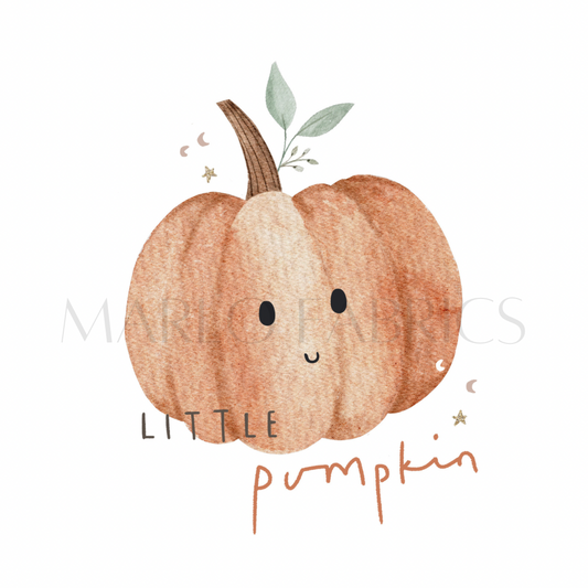Little Pumpkin  - Heat Transfer - IN STOCK
