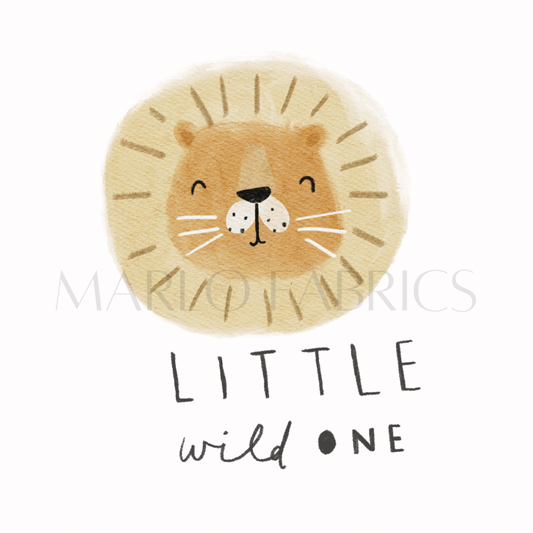 Little Lion Heat Transfer