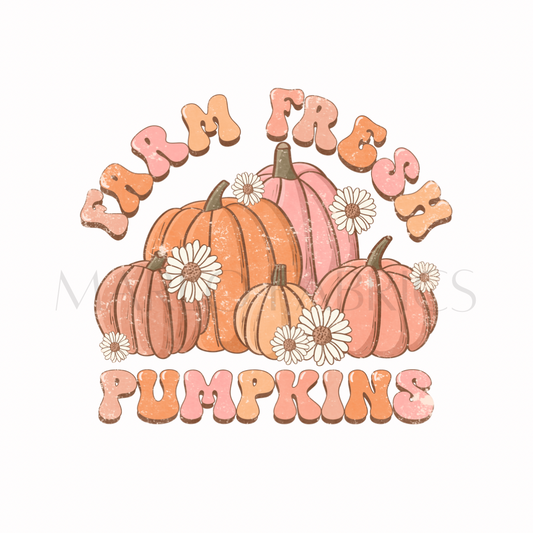 Farm Fresh Pumpkins Vintage style Heat Transfer